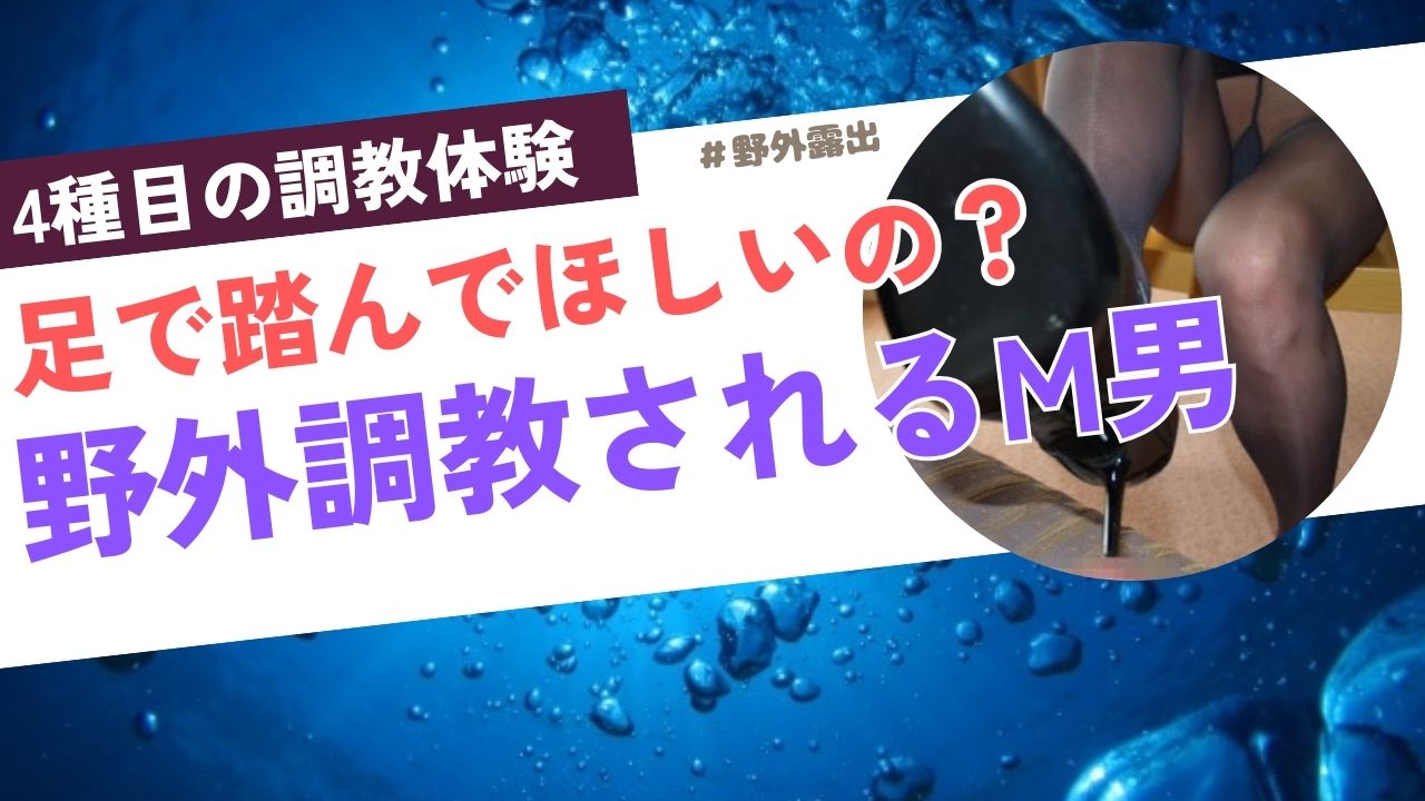 野外露出