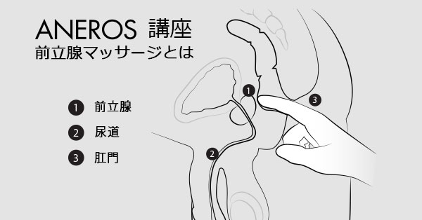 前立腺マッサージとは
